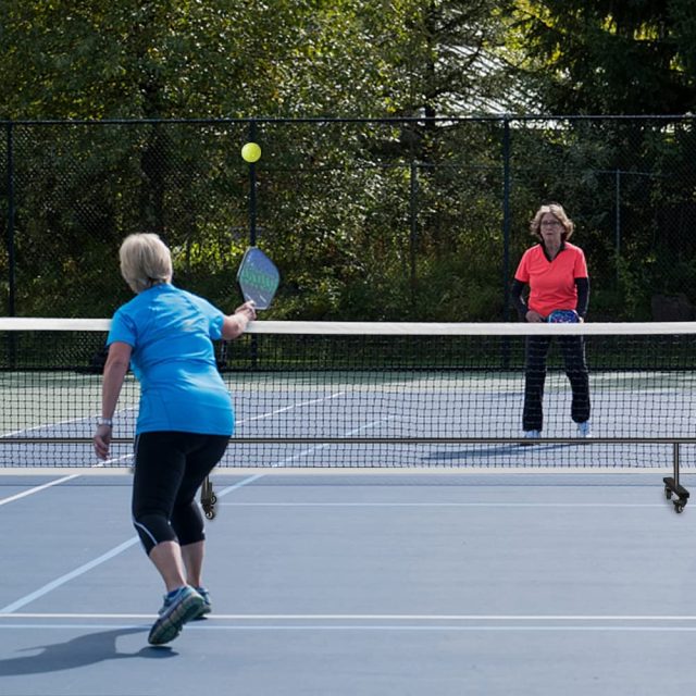 Buy in bulk wholesale pickleball nets for every court (5) Buy in bulk wholesale pickleball nets for every court (5)